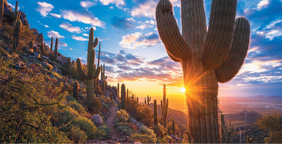 The Nearby Desert: Top 10 Things Not to Miss in Tucson, Phoenix